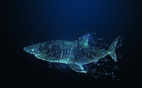 科技鲸鱼线条深海线条科技鲨鱼设计图片