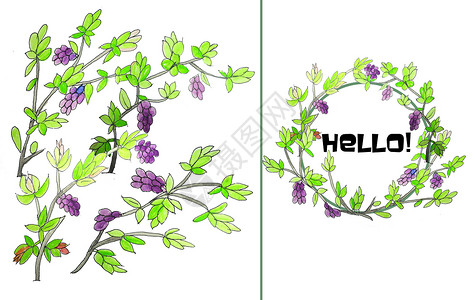 手绘水彩紫丁香幼芽图片