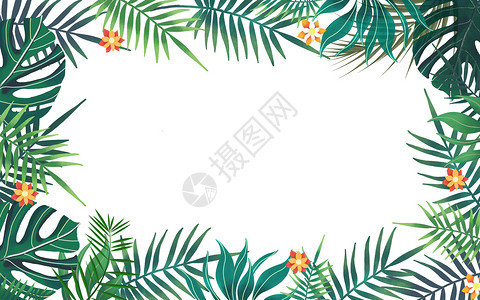 热带叶子背景素材高清图片