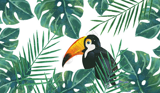 犀鸟热带植被素材插画