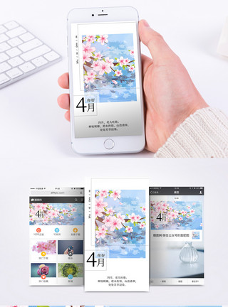 粉色桃花飘你好四月手机海报配图模板