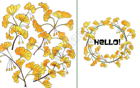 手绘水彩银杏树叶背景图片