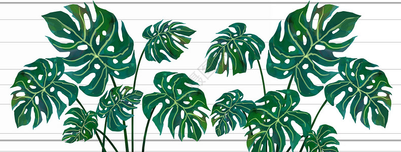 雨林植被热带植被素材插画