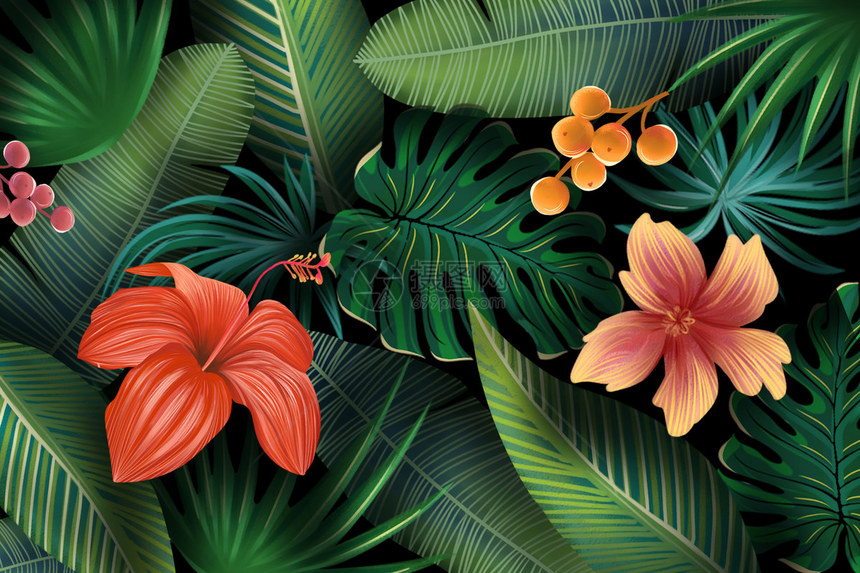 热带植物花卉图片