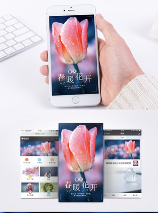 郁金香美丽春天粉色花朵手机海报模板