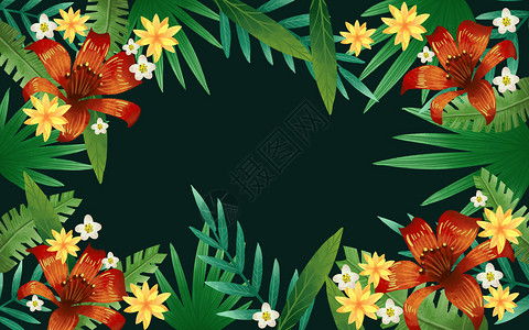 热带花卉素材背景图片