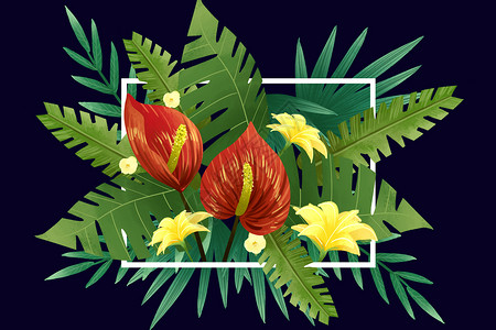 五角星黑色边框热带花卉植物边框插画