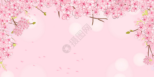 日系植物樱花背景设计图片