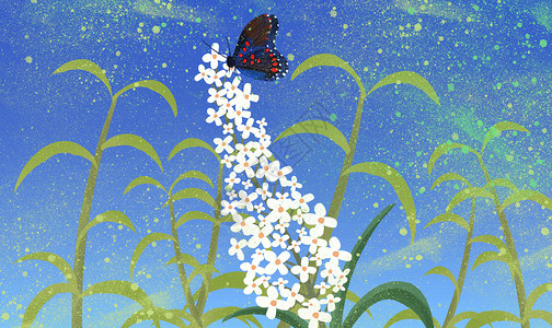 蝴蝶植物插画背景图片