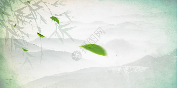 茶子树茶叶云雾背景设计图片