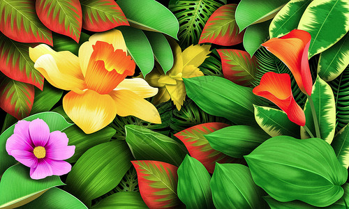 热带植物花卉背景背景图片