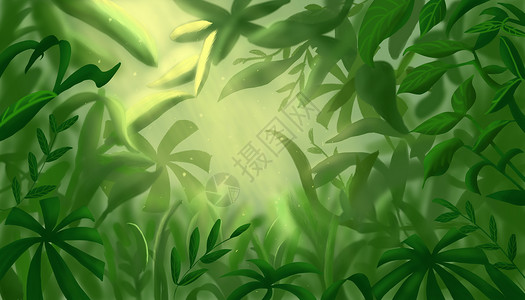 森林植物背景图片