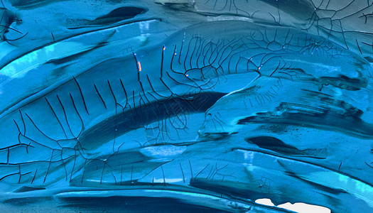 彩色的鱼创意色彩艺术背景设计图片