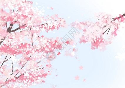 粉红花瓣背景春天樱花插画