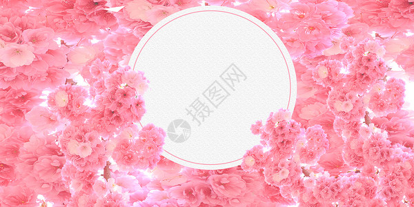樱花相框素材樱花背景设计图片