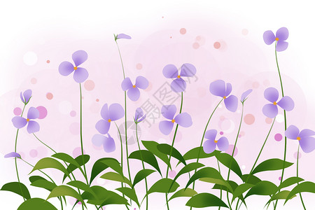 紫罗兰色植物蝴蝶兰花卉背景插画