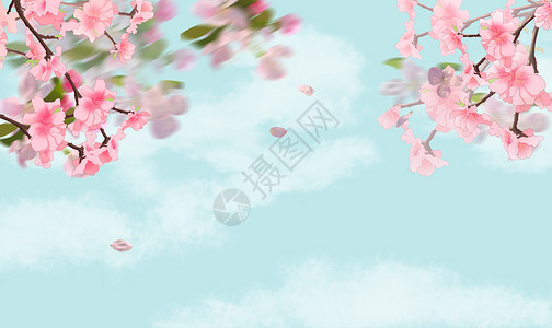 樱花蓝底春色高清图片