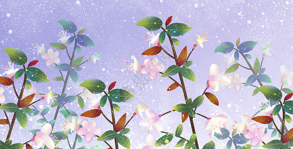 峨眉雪芽唯美花卉植物背景插画