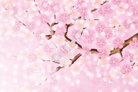 粉色烂漫浪漫樱花背景设计图片