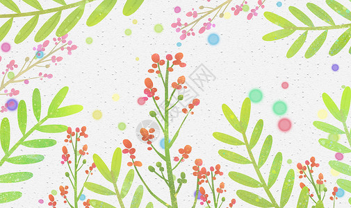 植物花卉插画背景图片