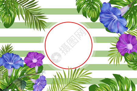 阿罗哈夏季条纹花卉植物背景插画