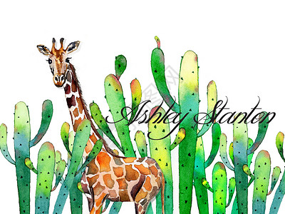 水彩植物动物插画背景图片