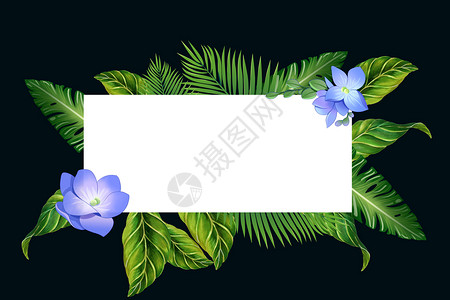 鲜艳卡片水彩手绘热带植物绿叶子插画