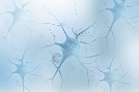 神经细胞背景背景图片