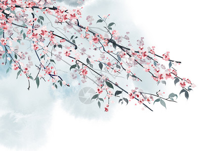 树枝花的素材水墨花卉背景插画