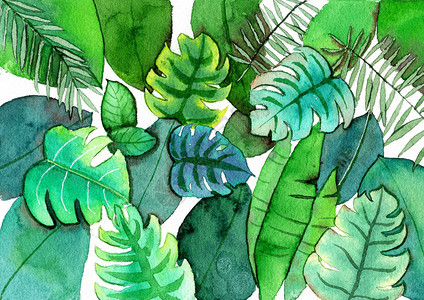 北欧树叶素材水彩手绘植物插画