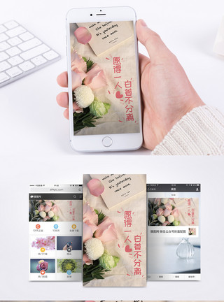精致玫瑰花卉爱情手机海报配图模板