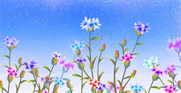 花卉背景素材图片