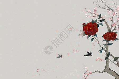 飘舞的花瓣中国风工笔花卉插画