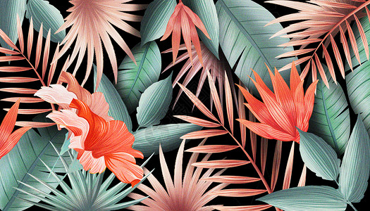 热带叶子背景花卉热带植物背景插画