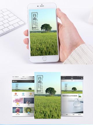 大自然草地谷雨节气手机海报配图模板