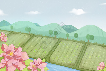 牡丹花开谷雨雨景插画