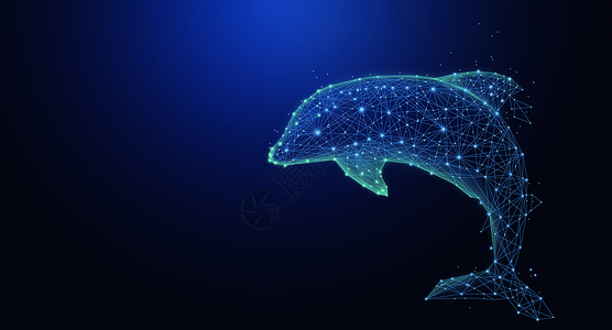 科技海豚唯美海豚背景设计图片