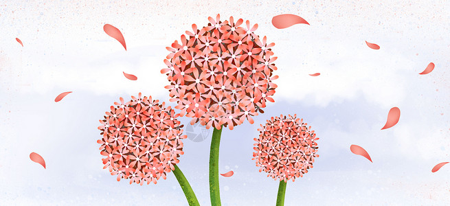 粉色花球花卉背景素材插画