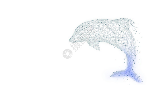 海洋元素海豚创意线条背景设计图片