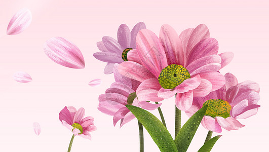 花卉背景贴画图片高清图片