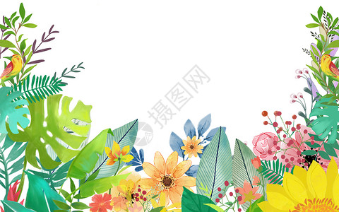 清新风格水彩手绘水彩花卉背景插画