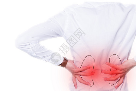 腰膝肾器官保护设计图片