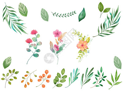 手绘水彩植被水彩花卉素材插画