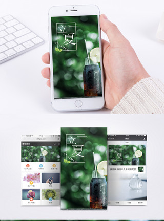 绿叶立夏立夏手机海报配图模板
