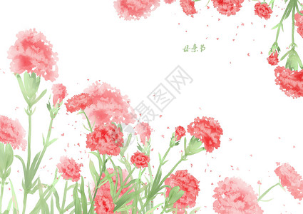 花朵边框背景母亲节康乃馨装饰插画