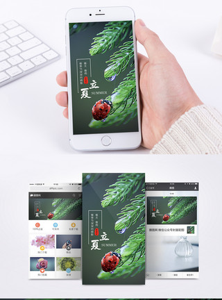 绿叶立夏立夏手机海报配图模板