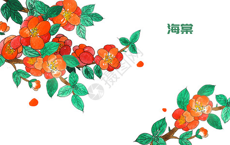 手绘水彩海棠图片
