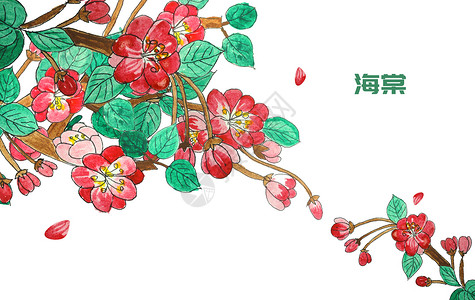 手绘水彩海棠图片