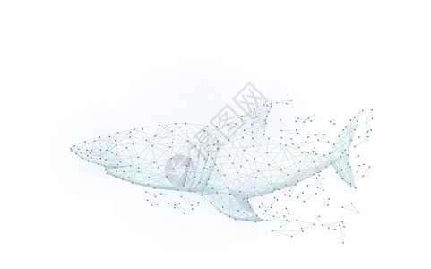 海洋鱼类创意线条鲨鱼设计图片