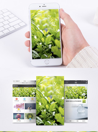 绿叶立夏立夏手机海报配图模板